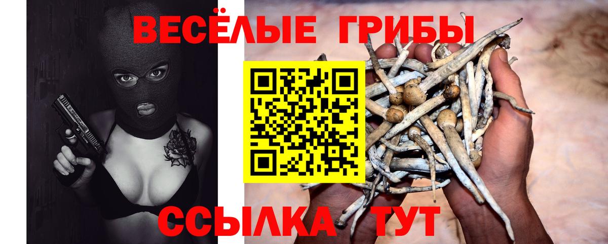 Галлюциногенные грибы мицелий Выкса